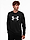 Afbeelding van Under Armour Bluza męska UA Rival Terry Logo Crew 1370391 001 productvariant
