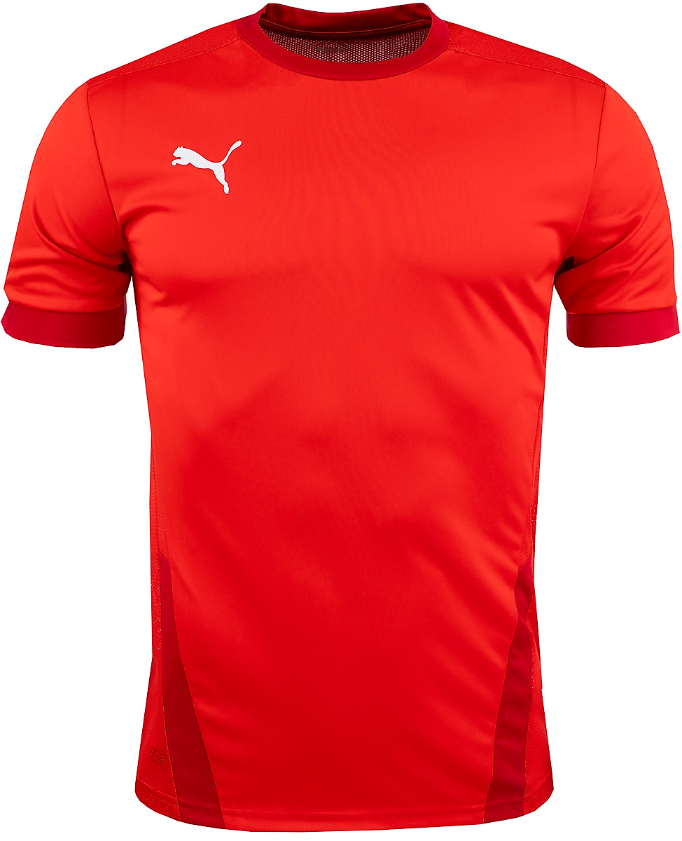 PUMA Koszulka dla dzieci  teamGOAL 23 Jersey 704160 01