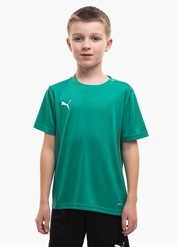 Kindershirt Puma TeamGoal Jersey 658637 05