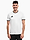 Afbeelding van Koszulka męska adidas Entrada 26 Jersey JZ2508 productvariant