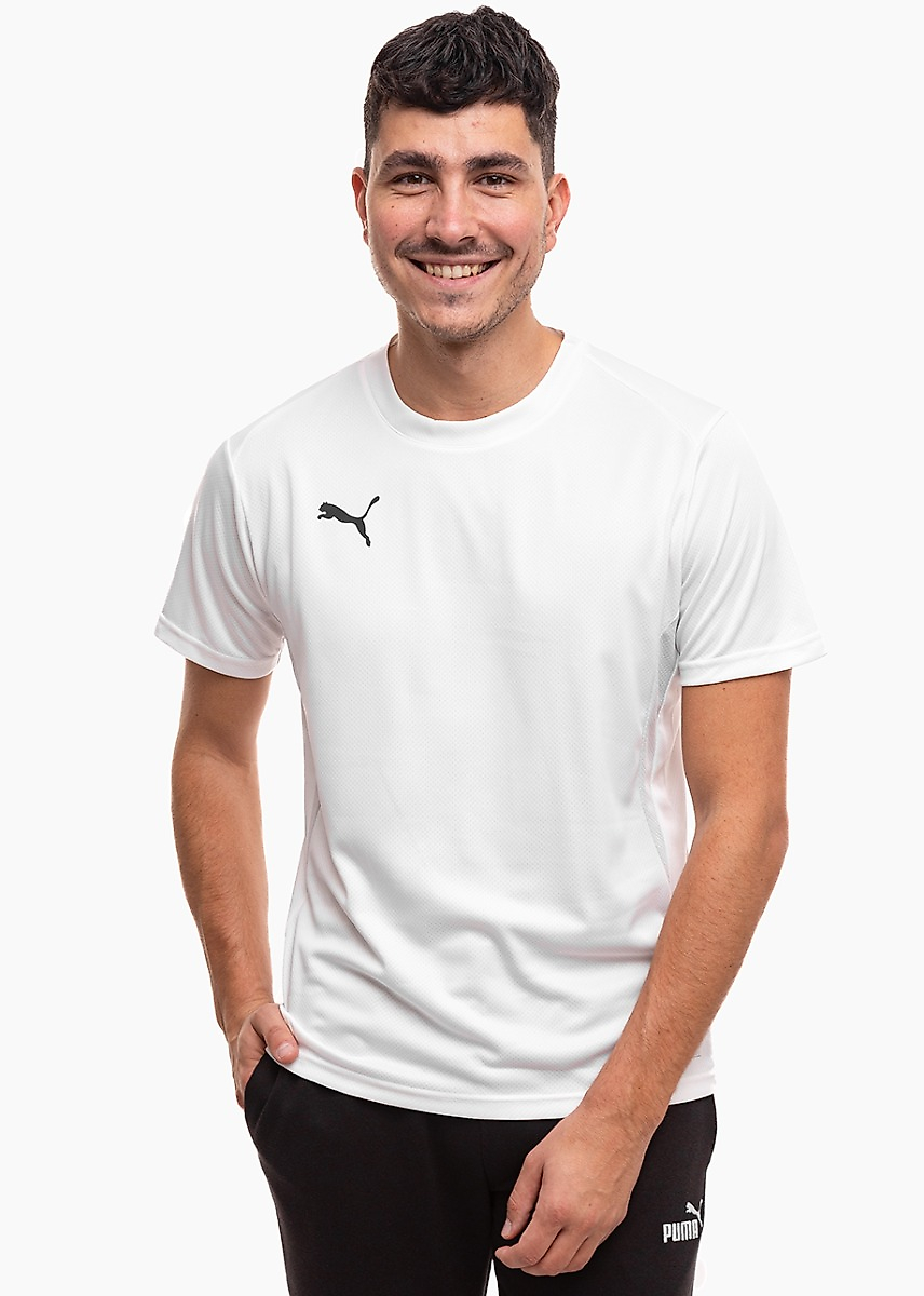 Heren T-shirt Puma TeamGoal Jersey 658636 04