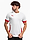 Afbeelding van PUMA Koszulka męska teamGoal Matchday Jersey 705747 11 productvariant