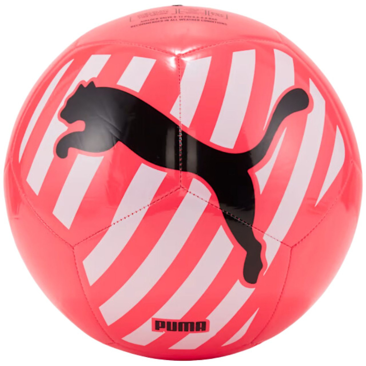 PUMA Piłka nożna Big Cat 83994 05