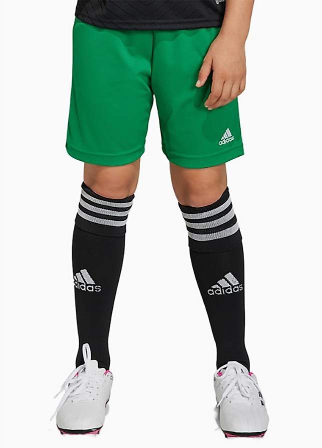 adidas Spodenki dla dzieci Entrada 22 IC7410 adidas Spodenki dla dzieci Entrada 22 IC7410