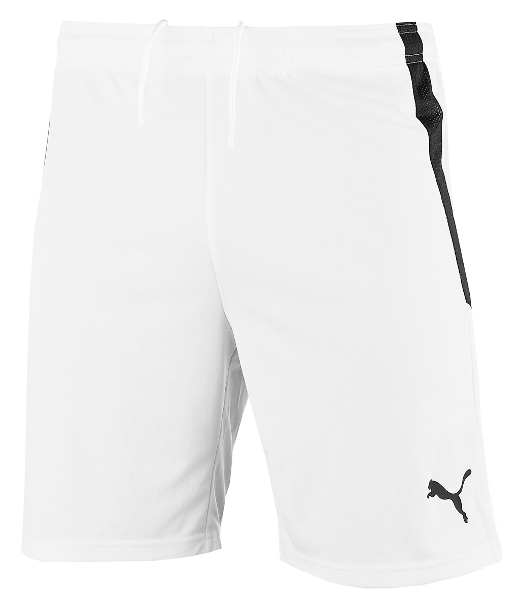 PUMA Herenshorts teamLIGA 704924 04